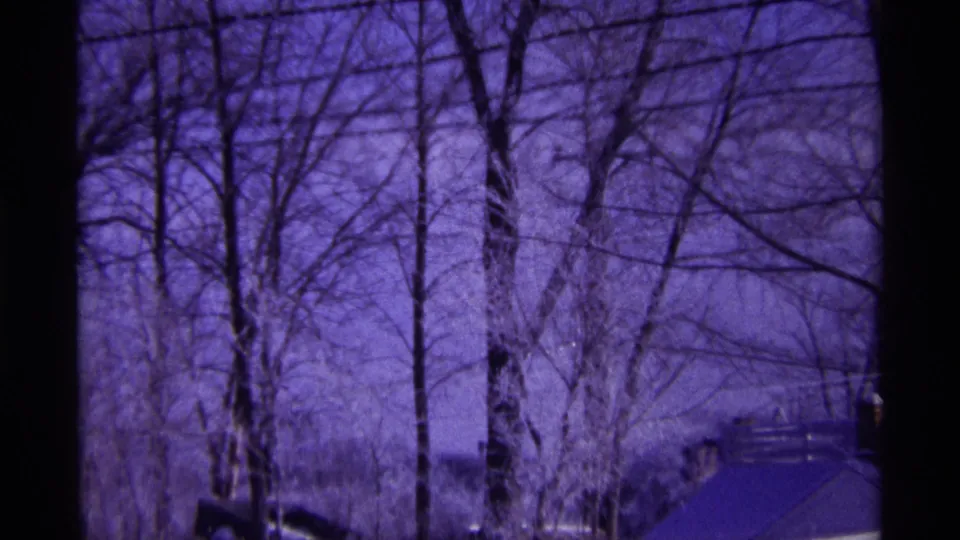 1968 Chicago-area 8mm frame showing bare trees, power lines, snow at ground level, and a blue-purple winter cast.