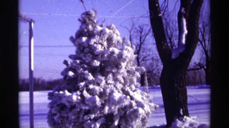 1968 Chicago-area 8mm frame showing a snow-laden evergreen, a roadside pole, bare trees, and a broad snowy background.