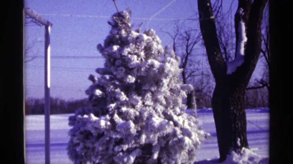 1968 Chicago-area home-movie frame with a frosted evergreen, leafless trees, utility wires, and snow-covered ground.