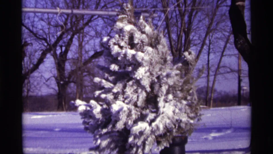 1968 Chicago-area 8mm frame showing a slightly tilted handheld view of a snow-covered pine in a winter yard.