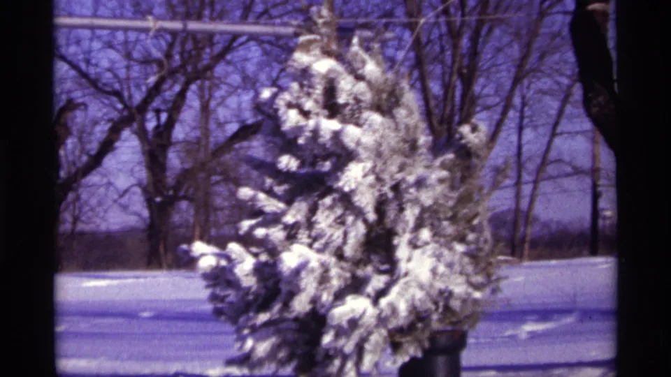 1968 Chicago-area 8mm frame of a snow-laden evergreen, bare trees, overhead wires, and winter ground cover.