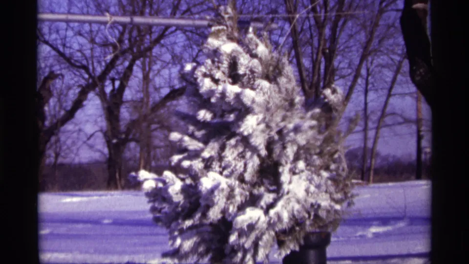 1968 Chicago-area 8mm frame showing snow packed on pine branches, with bare winter trees and an overhead wire in the background.