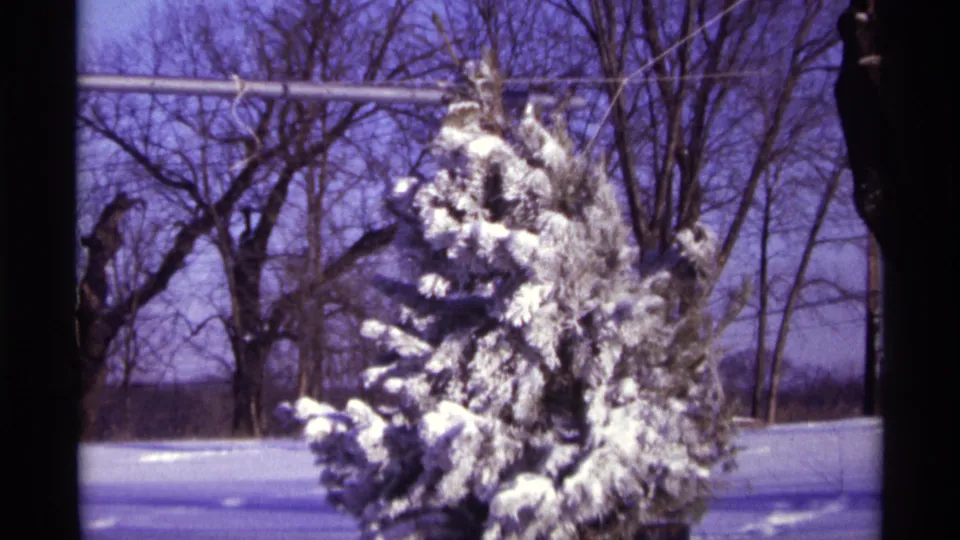 1968 Chicago-area 8mm frame of a snow-laden pine tree, bare branches, snowy ground, and a horizontal utility wire.