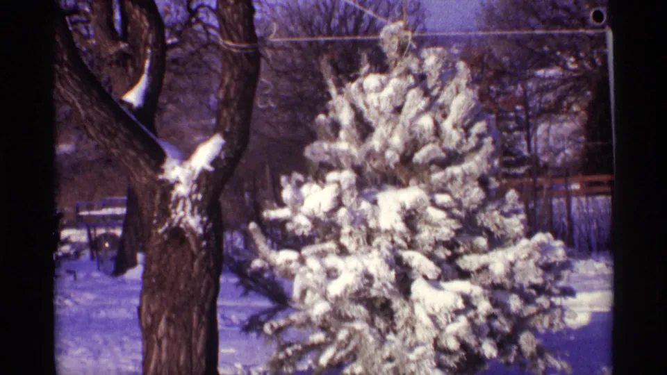 1968 Chicago home-movie frame showing the evergreen closer in the lower-left view, heavy with snow in a yard.
