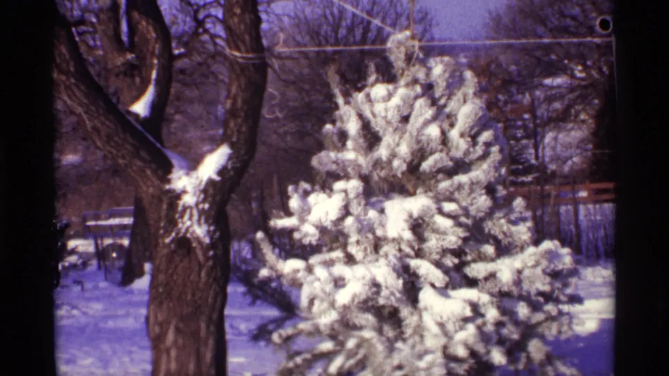 1968 Chicago 8mm frame of a quiet snowy yard, centered on an evergreen coated in winter snow.