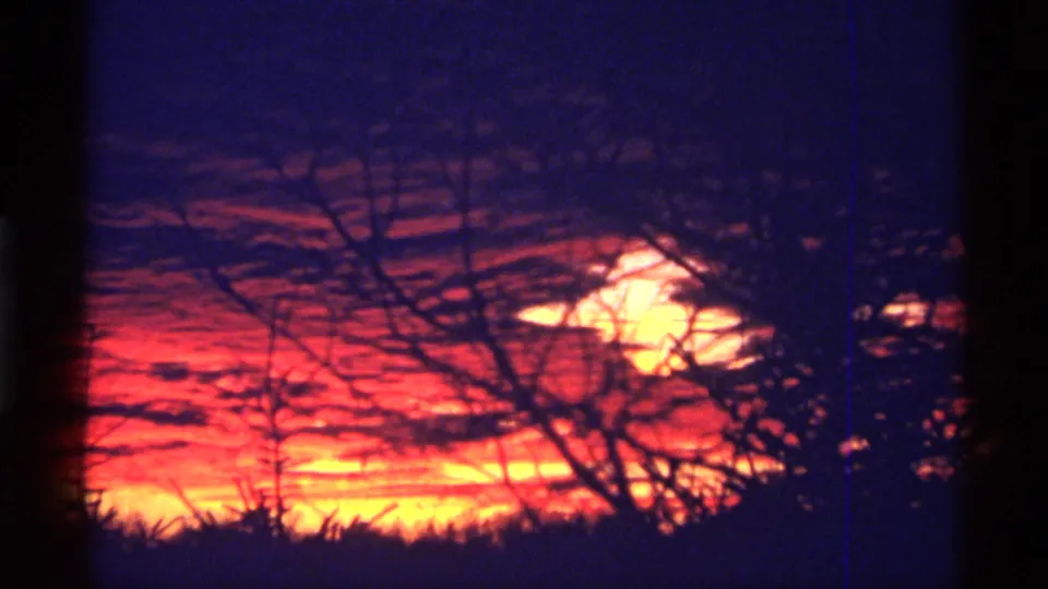 1968 Chicago 8mm frame showing the low sun diffused through silhouetted branches against a red and purple dusk sky.