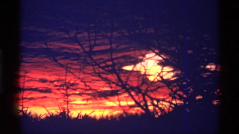 1968 Chicago 8mm frame with a glowing sunset partly blocked by tree branches, with saturated red-orange color and purple shadowing.