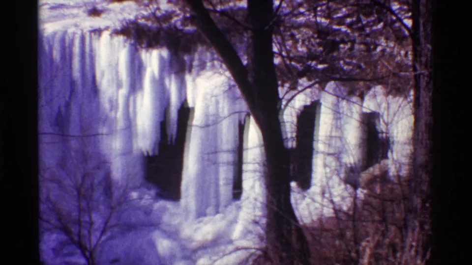 Chicago winter footage frame with a frozen waterfall partly obscured by tree trunks and leafless branches.