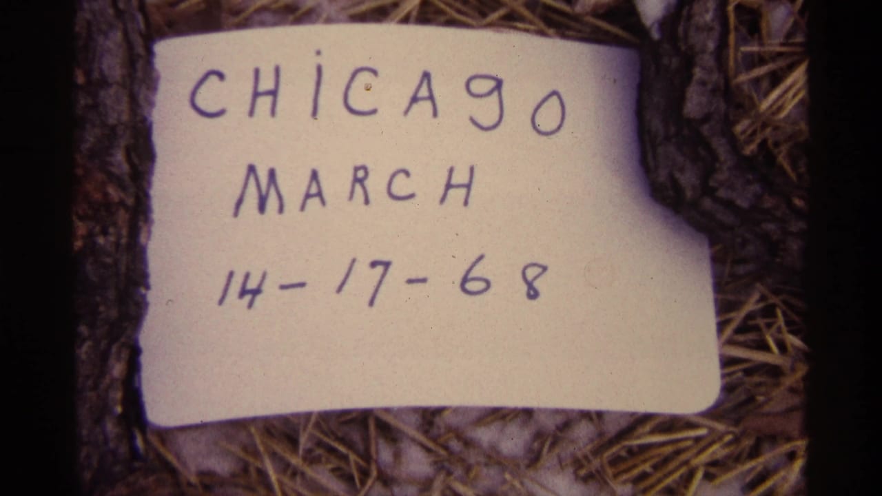 Handwritten Chicago March 14-17, 1968 note on straw between pieces of bark.