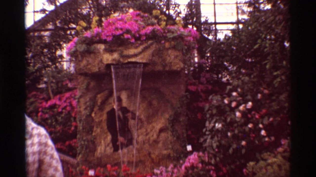 1968 Chicago home-movie frame showing a suited man beneath a cascading stone fountain surrounded by bright flowers and foliage.