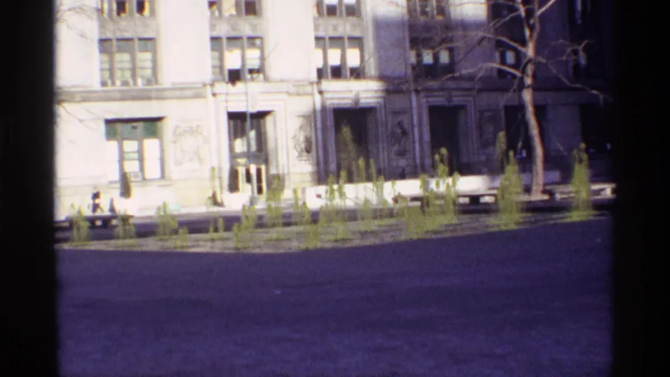 1968 Chicago view across a paved plaza with fountain jets, a bare tree, benches, and a large civic-looking facade.