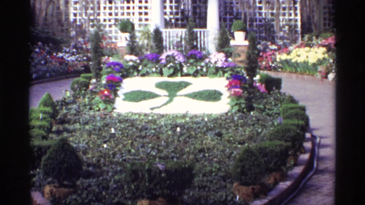 Circular garden bed with clover-shaped green planting surrounded by colorful flowers.
