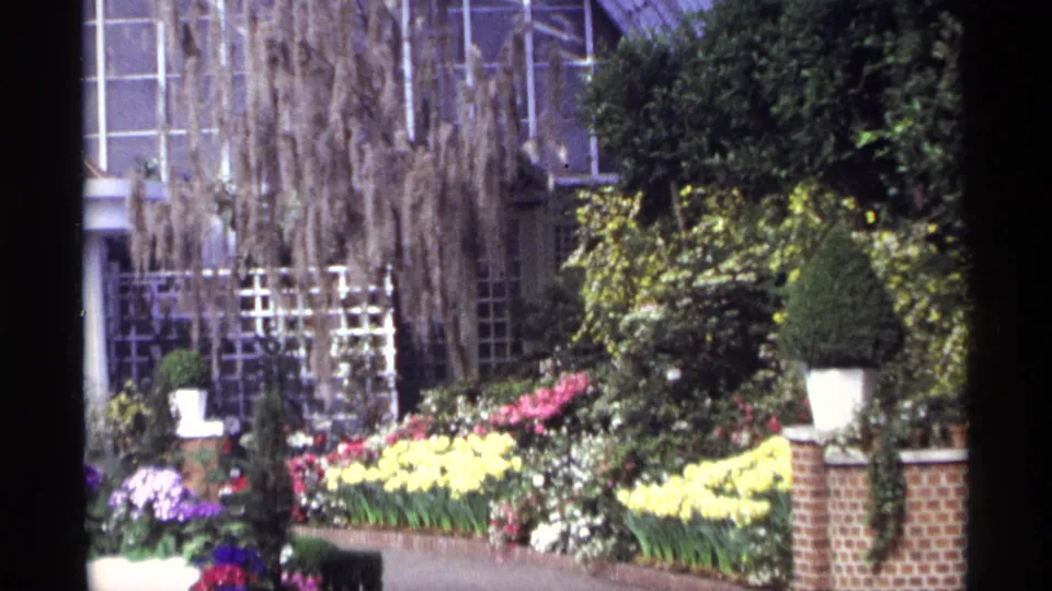 1968 Chicago garden display with yellow and pink flowers, hanging moss, glass conservatory walls, and a white statue-like form.