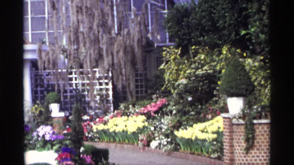 Visitor-shot 1968 Chicago greenhouse view of a planted walkway with bright flowers, moss, shrubs, and glass wall framing.