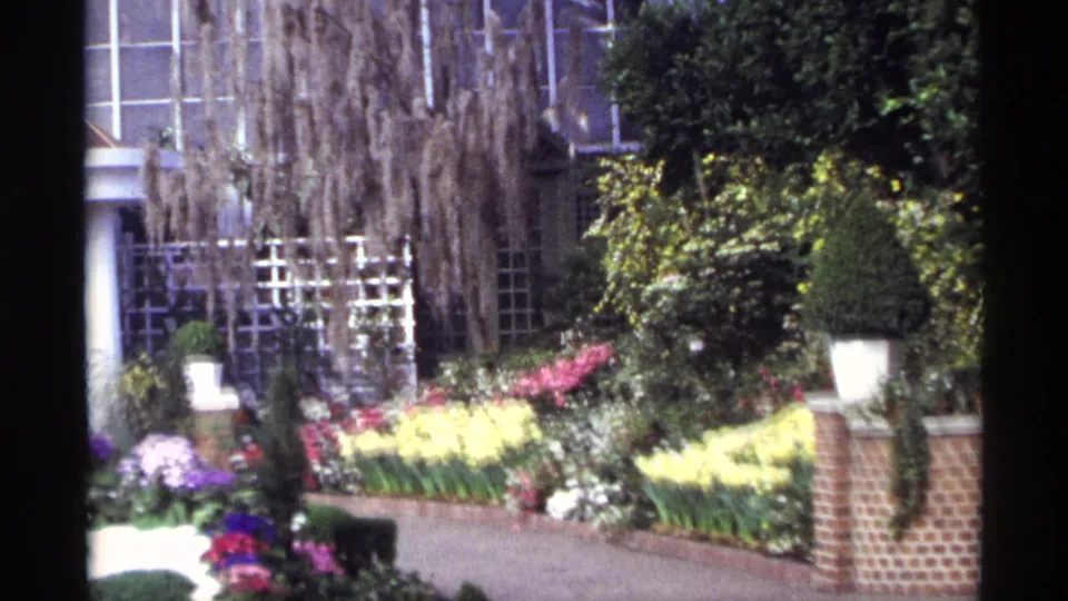 1968 Chicago home-movie frame of greenhouse flowers, topiary, brick edging, and hanging moss in a formal garden display.