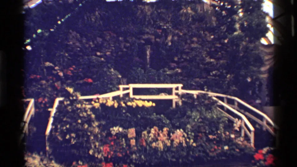 A wider garden view shows dense plantings, white railings, benches, flowers, and dark foliage in the same Chicago home-movie setting.