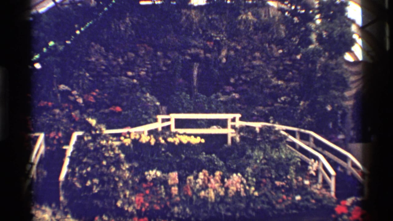 1968 Chicago 8mm frame showing a white footbridge spanning a lush indoor floral display with dark greenery and bright blooms.