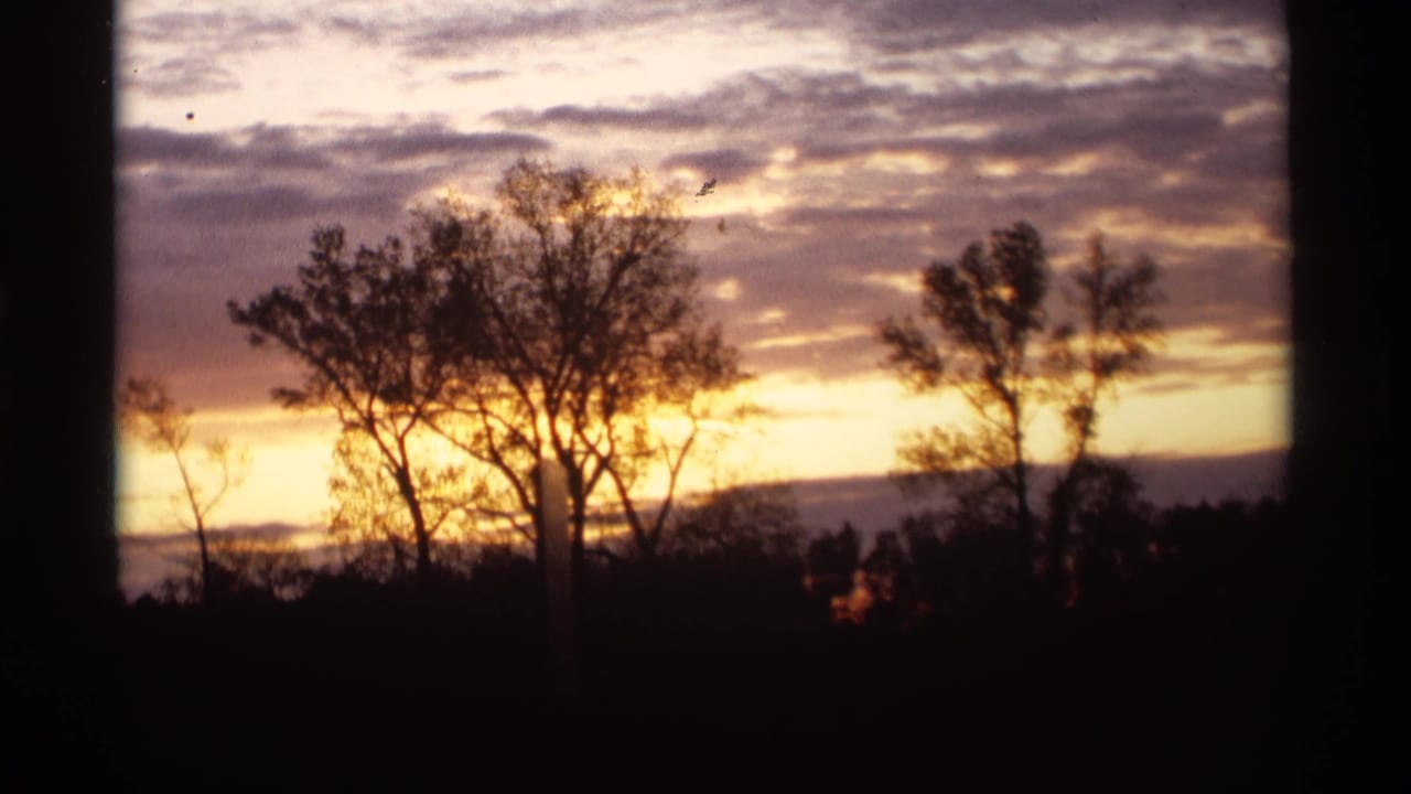 Holland, Michigan sky view with dark tree silhouettes against a warm orange, purple, and pink dawn or sunset horizon.
