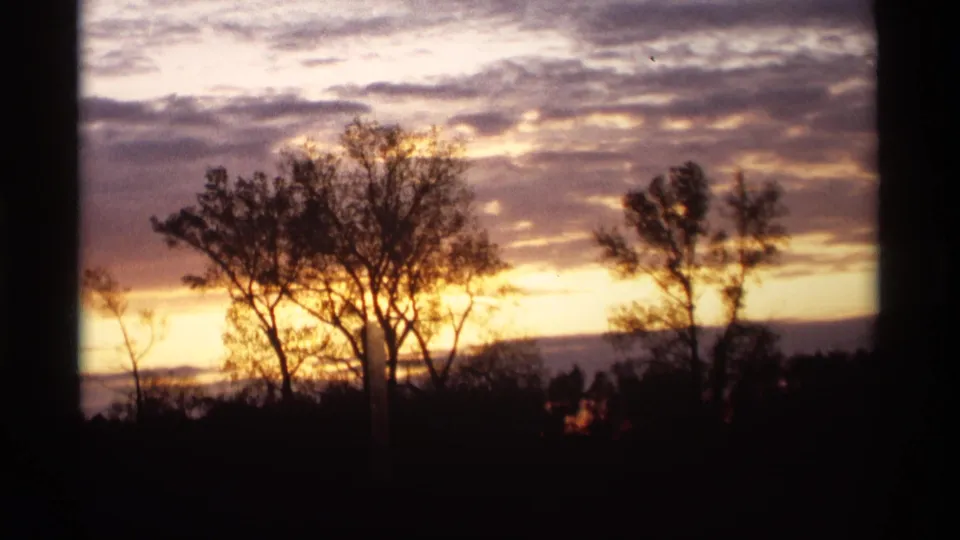 1969 8mm view of silhouetted trees and layered clouds over Holland, Michigan during a vivid dawn or sunset.
