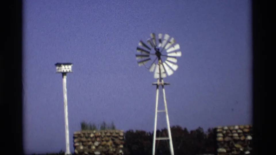 1969 Holland, Michigan frame showing a white windmill beside a tall birdhouse pole, with stone walls and trees along the lower edge.