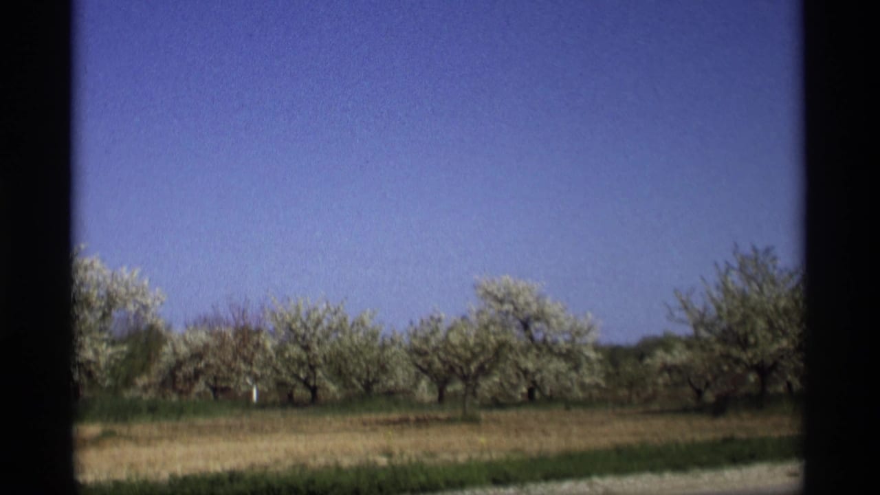 Blossoming trees and open grass under a blue sky, seen through dark 8mm frame edges.