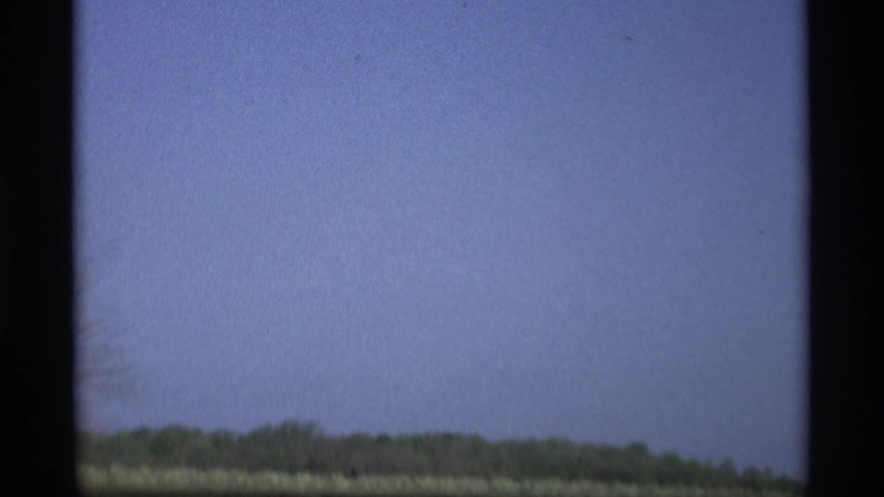 Blue sky over a distant tree line seen through dark car-window edges.