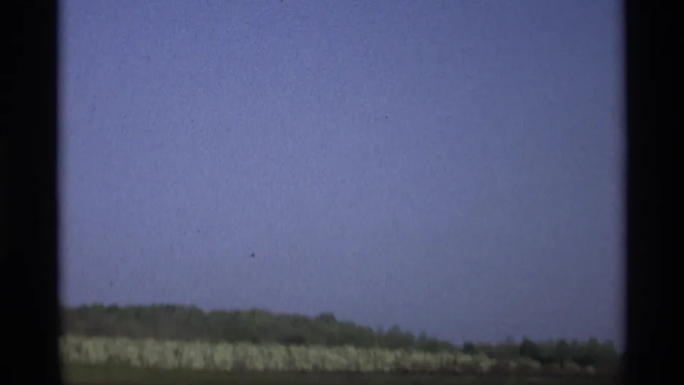Soft 8mm passenger-window view of distant roadside hedges and trees in Holland, Michigan, 1969.
