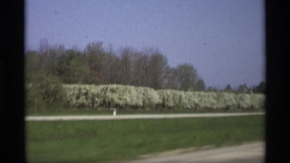 1969 Holland, Michigan road view with green grass, pale hedge, trees, and a narrow roadside strip.