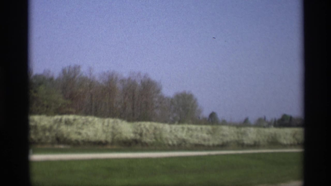 1969 Holland-area home-movie frame showing green grass, a pale road, white blooming shrubs, trees, and blue sky from a moving car.