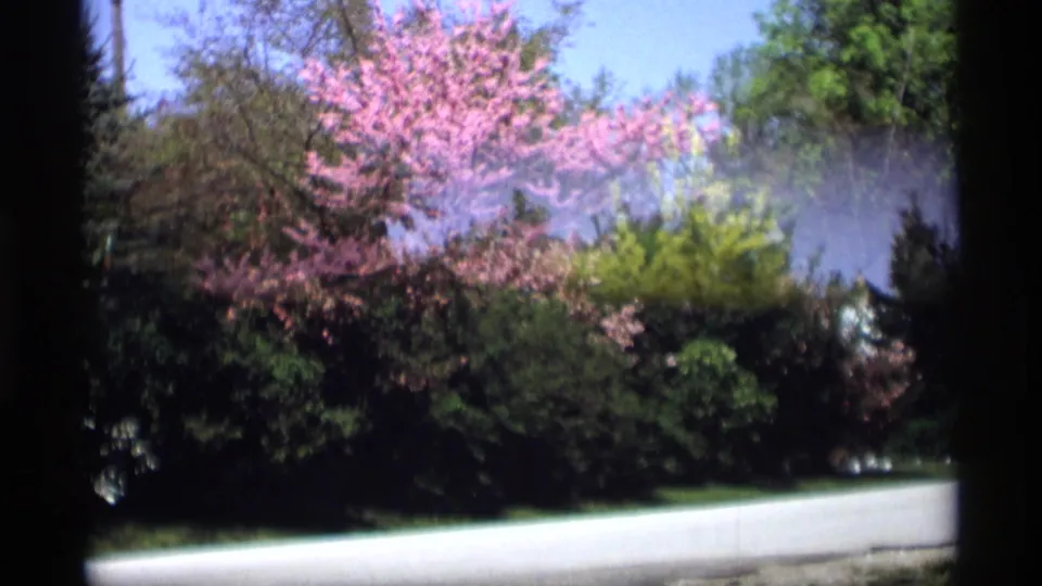 1969 Holland, Michigan 8mm frame showing spring flowering trees, green shrubs, a pale road, and overhead utility lines.