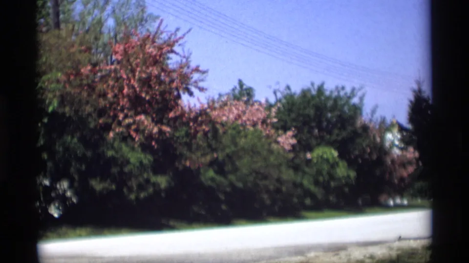Suburban Holland, Michigan road scene with pink blossoms, leafy hedges, blue sky, and faint power lines in a 1969 home-movie frame.