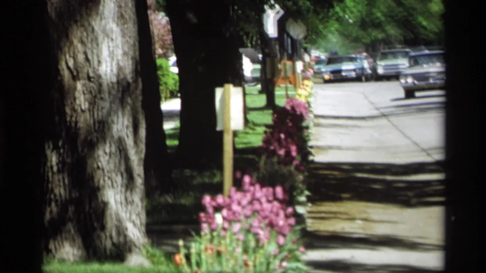 1969 Holland, Michigan 8mm frame showing a shaded sidewalk, flower bed, roadside signs, and cars along a residential street.