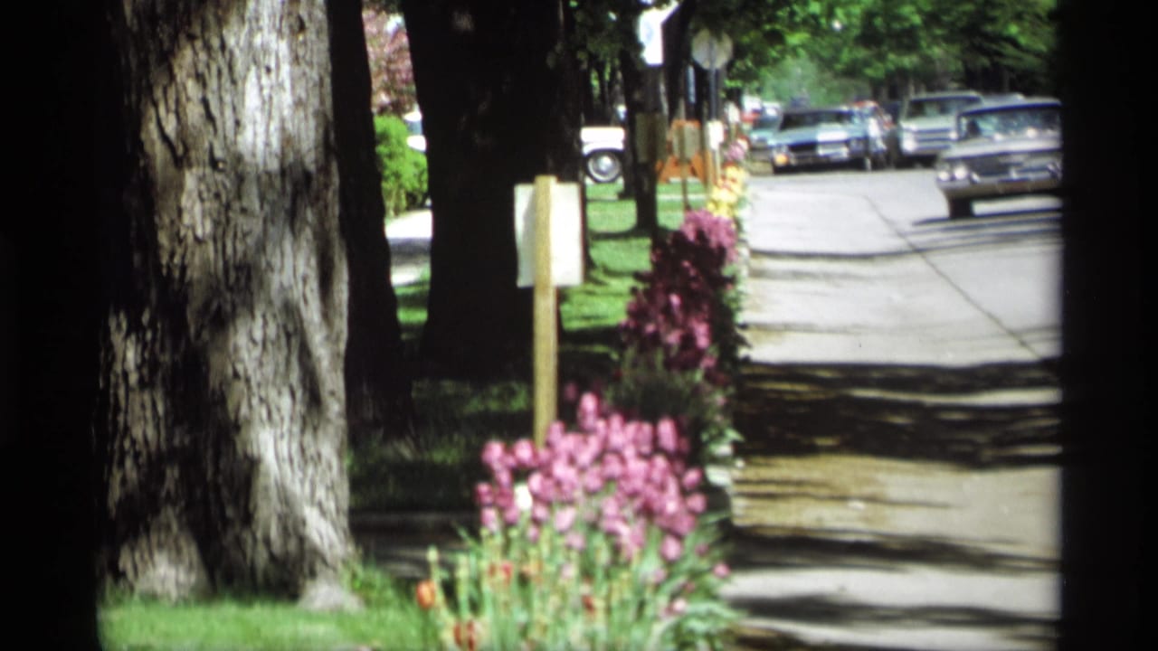 1969 Holland, Michigan home-movie frame showing a shaded suburban street, sidewalk flowers, and distant period cars.