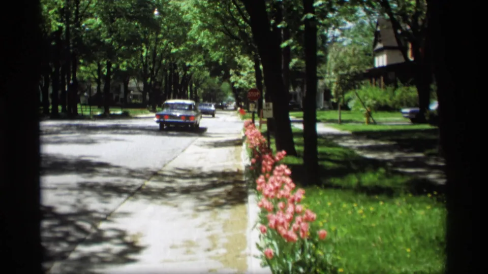 1969 Holland, Michigan street scene with a car receding past tulips, lawns, mature trees, and a nearby stop sign.