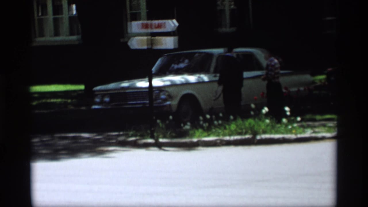 White classic sedan parked near a Tulip Lane sign with two people standing nearby.
