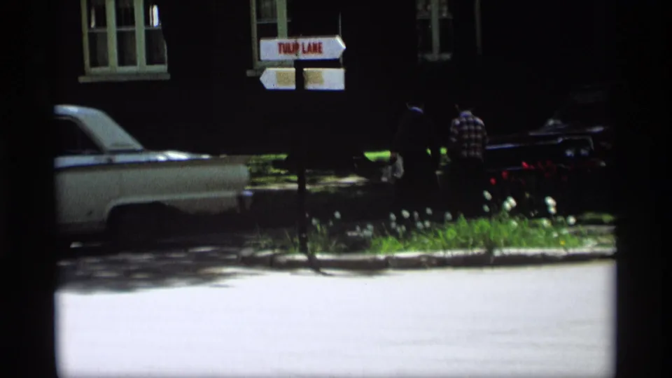 Close residential street frame with Tulip Lane sign, partial white car, dark car, and two people standing in shade.