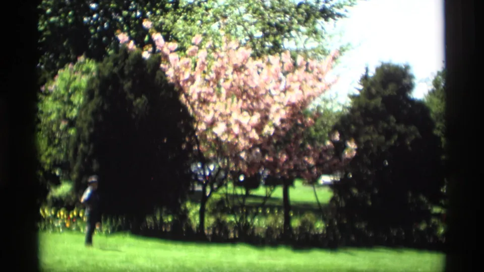 1969-supported Holland, Michigan 8mm frame with a distant pedestrian crossing a landscaped lawn near flowering trees and shrubs.