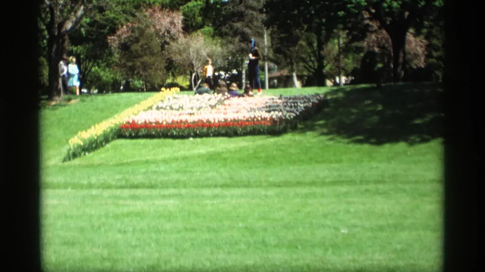 1969-supported Holland, Michigan 8mm frame showing curved tulip beds, open grass, trees, and several distant visitors.