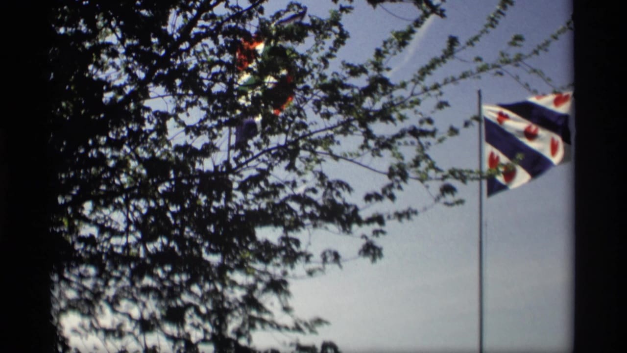 1969 Holland, Michigan 8mm frame showing a striped flag waving behind dark leafy foreground branches.