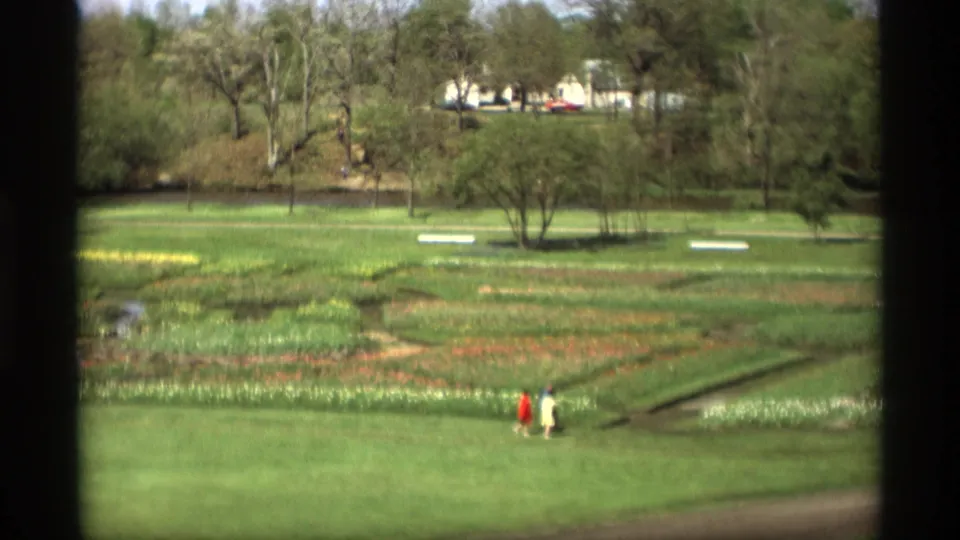 Two distant visitors, one in red and one in light clothing, walk through a Holland, Michigan flower garden in 1969.