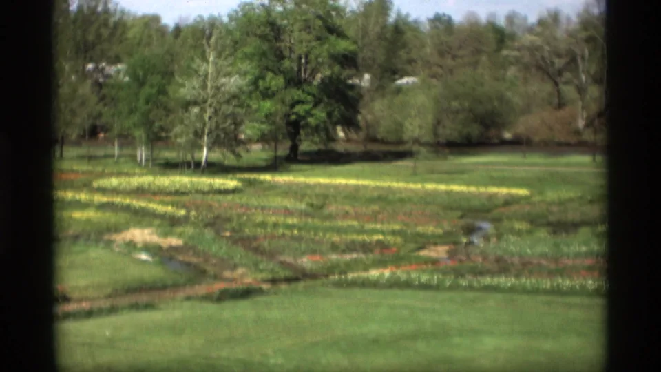 Holland, Michigan garden view from 1969 showing yellow and red flower beds, open lawn, mature trees, and dark foreground framing.