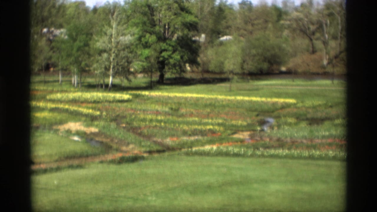 Flower beds and green lawn seen through dark vertical frame edges.