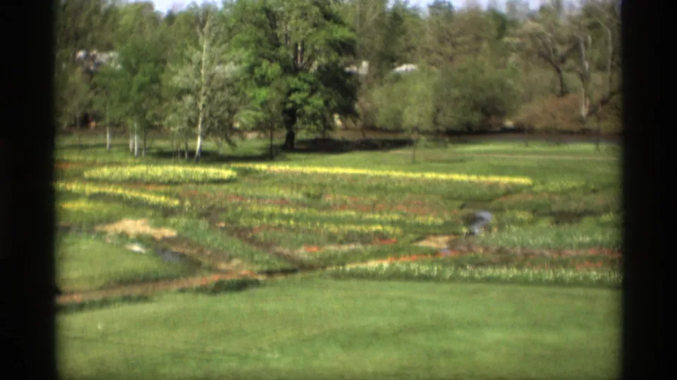 1969 Holland, Michigan 8mm view of landscaped flower beds, lawn, trees, and dark vertical frame edges.