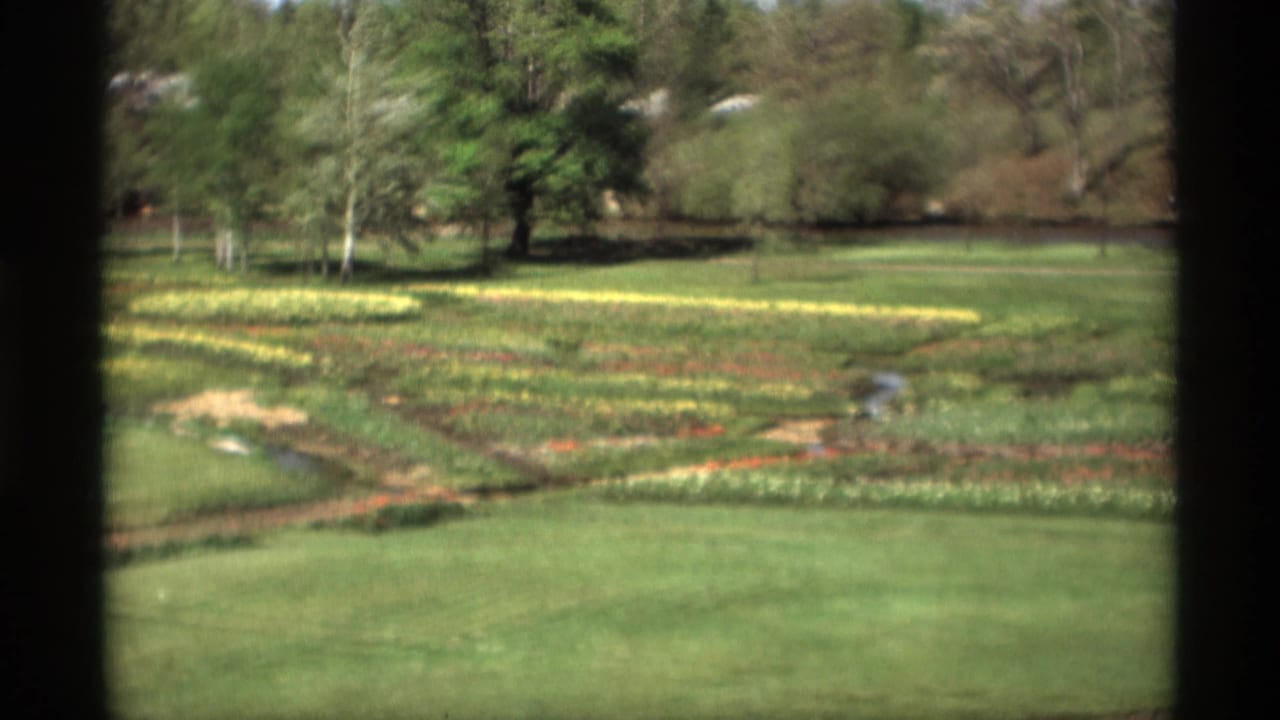 Wide 1969 Holland, Michigan home-movie view of flower beds, green lawn, trees, and a small winding garden channel.