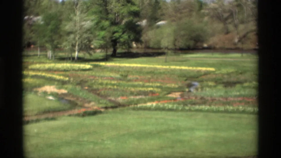 Wide 1969 Holland, Michigan home-movie view of flower beds, green lawn, trees, and a small winding garden channel.
