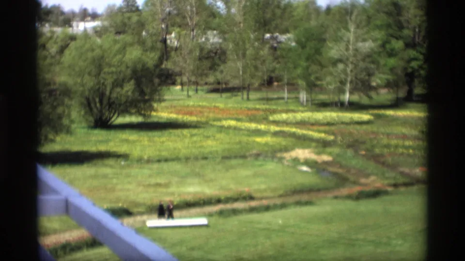 1969 Holland, Michigan garden scene with two distant walkers, flower beds, lawn, trees, and a white bench or sign.
