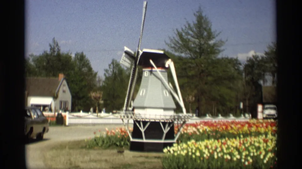 Wide 1969 Holland, Michigan frame showing the windmill near blooming tulips, a white fence, trees, houses, roadway, and vintage cars.