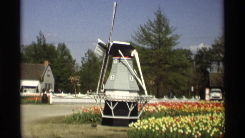 1969 Holland, Michigan home-movie frame of the windmill centered beyond colorful tulips, with fence, houses, trees, roadway, and cars visible.