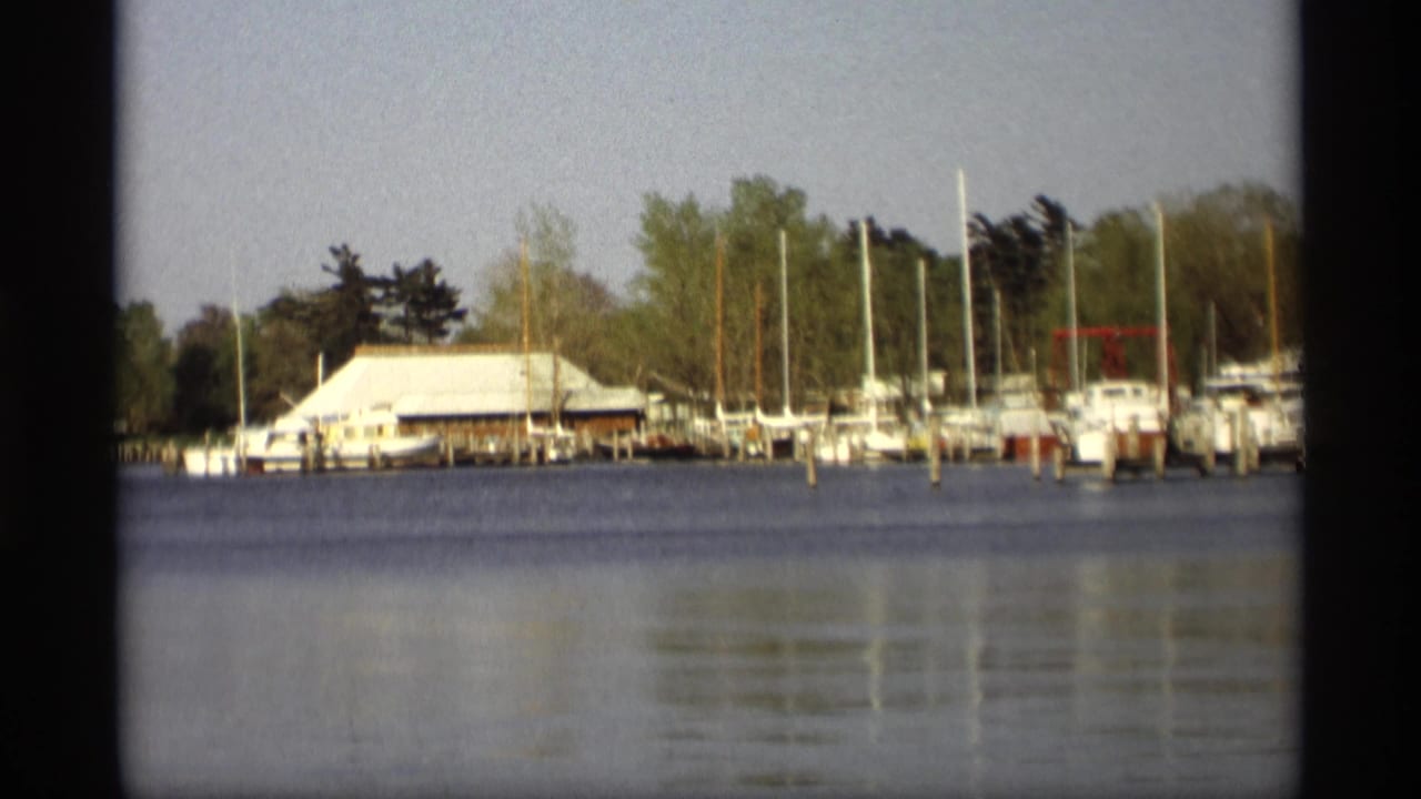 White boats and sailboat masts at a marina across calm water.