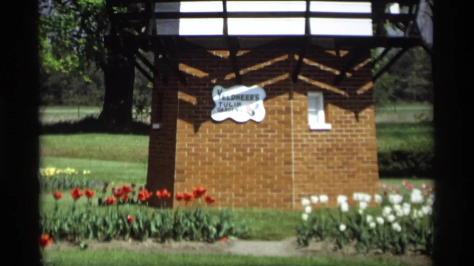 Close view of the brick windmill base at the Holland, Michigan tulip garden, with red and white tulips and a visible attraction sign.